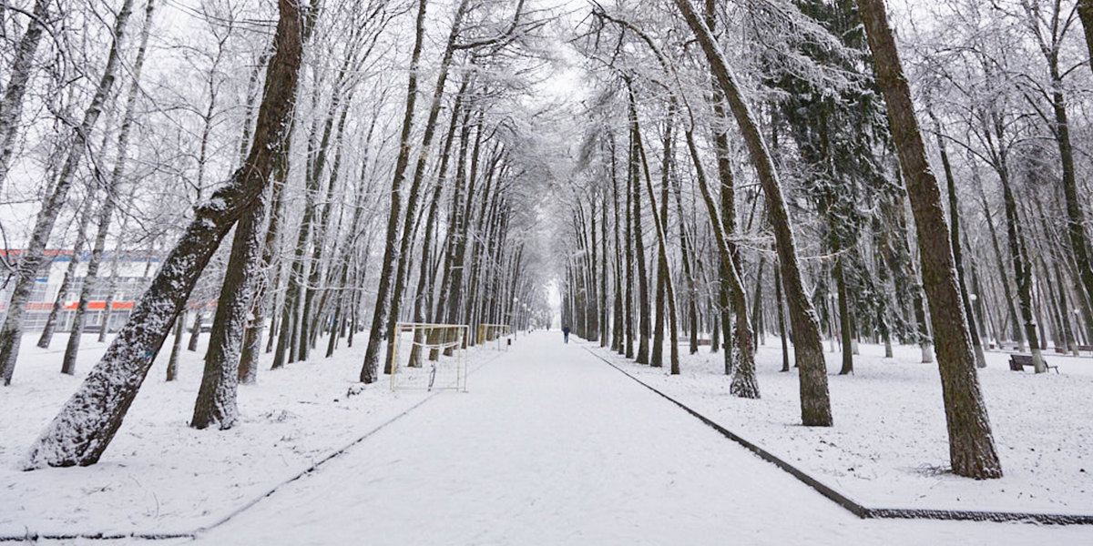 Сугробы вырастут, а температура упадет. Синоптик анонсировал три волны холода в декабре