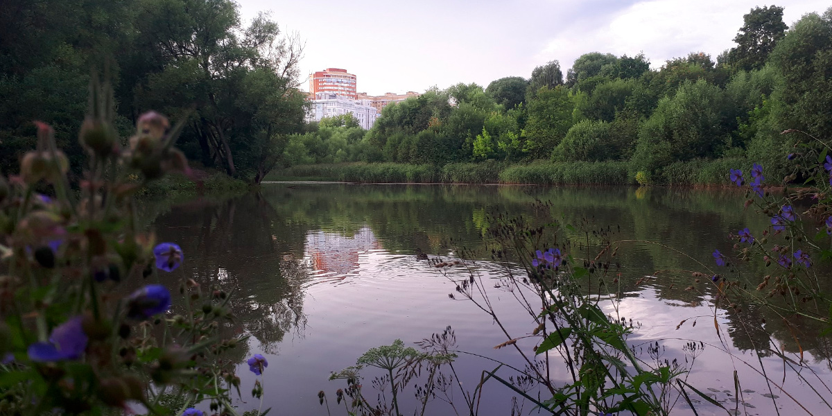 7 вопросов о реках и мостах Владимира