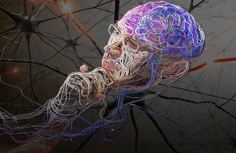 Биохакинг во Владимире: сколько стоят инвестиции в долголетие?