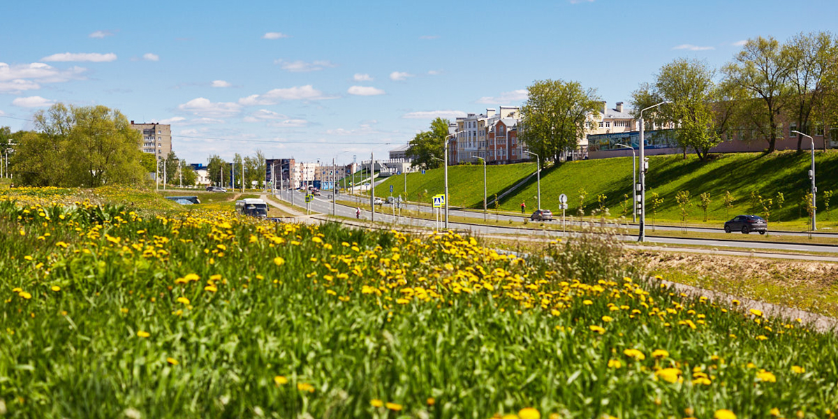 Лето, ах, лето! Чем порадует погода в июне жителей 33-го региона