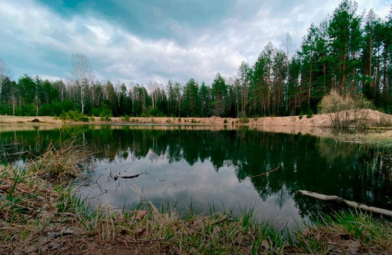 Природа и свобода: как владимирцы самоизолируются в деревнях