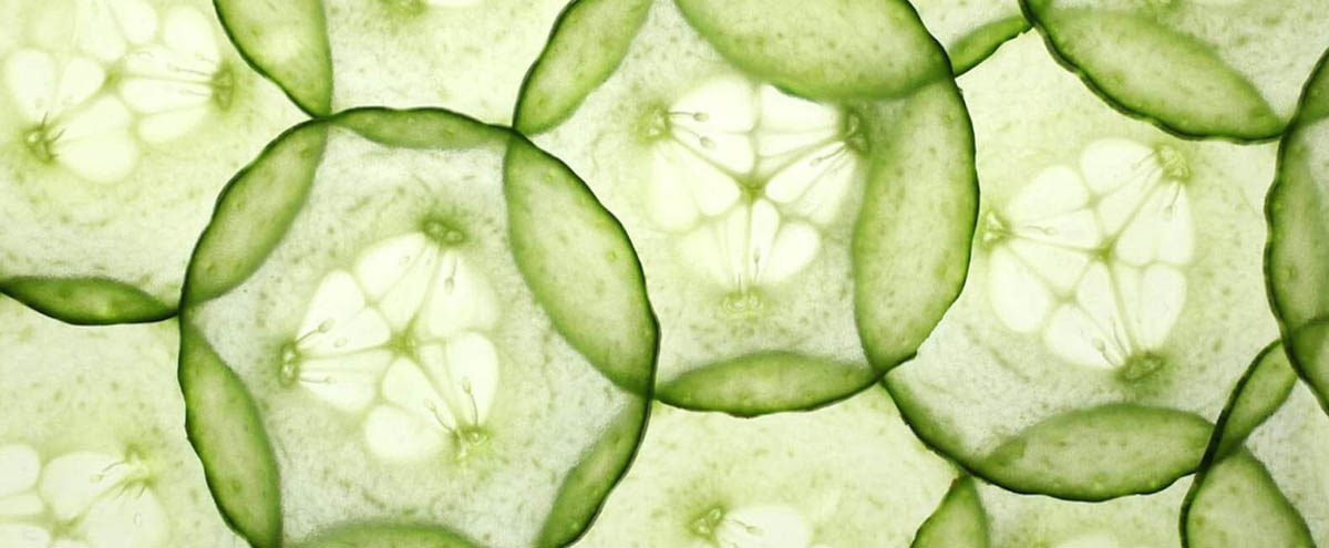 В Суздале пройдёт Ночь огурца