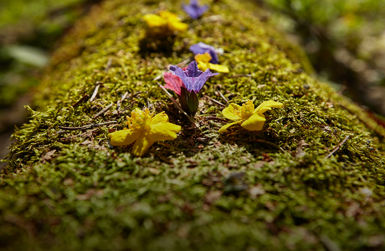 Потеплеет до летних значений. Как долго в области продержится «идеальная погода»?