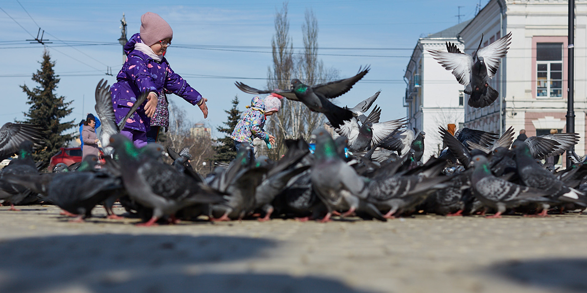 Не обольщаемся! Апрельская жара во Владимире пойдет на спад