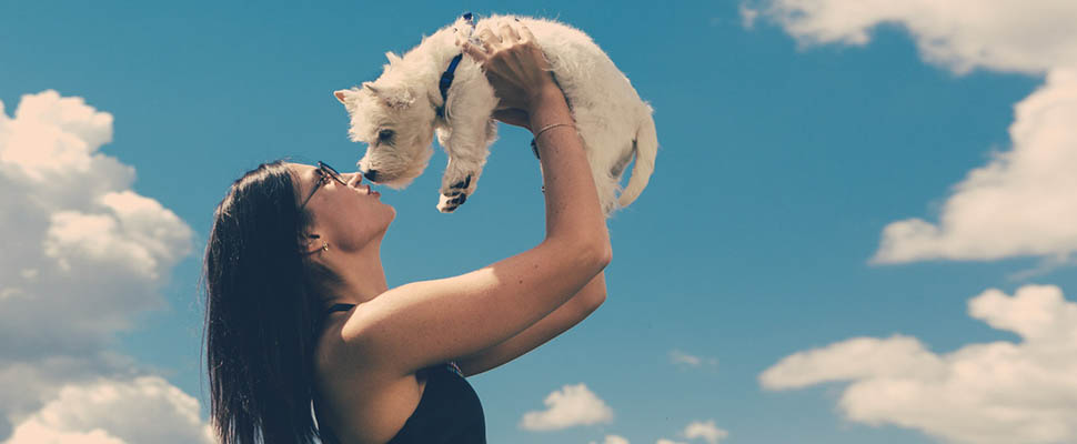 Дама с собачкой: Анна Важинская в конкурсе «Разгоняем лето»