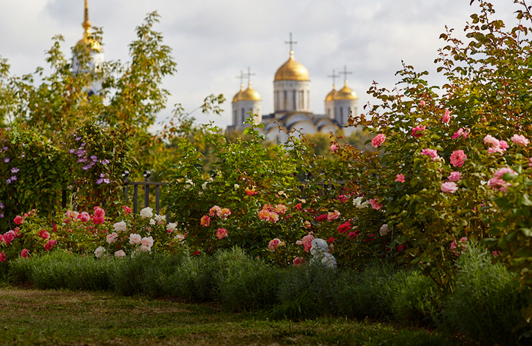 Золотая осень во Владимирской области будет, но не сразу