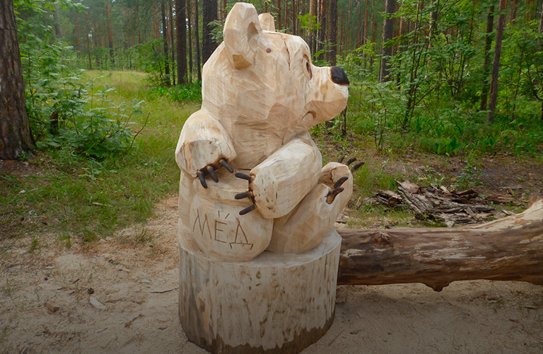 Винни Пух, Чебурашка и компания: очередные деревянные обитатели сказочного леса в Гусь-Хрустальном