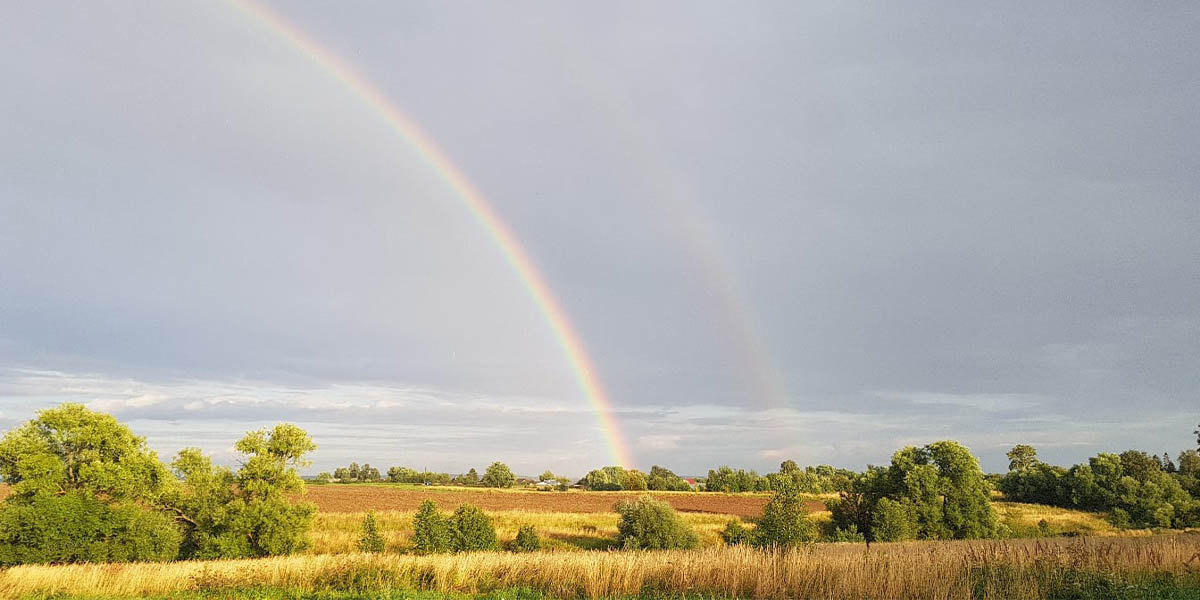 Мирный бой под Владимиром: деревни области вступают в борьбу за титул «Самой красивой»