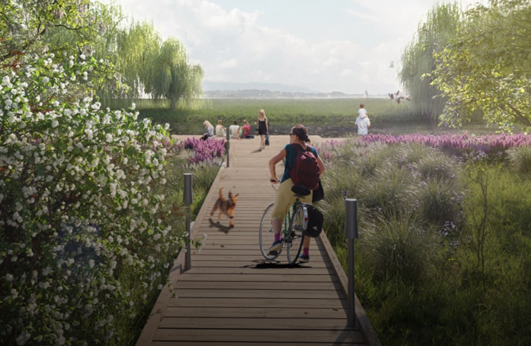 Набережная или сквер? 5 конкурсных проектов благоустройства для городов 33-го региона