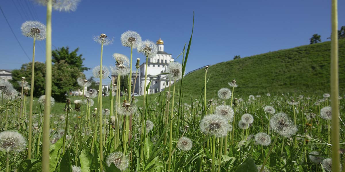 Во Владимире на несколько дней установится тропический зной