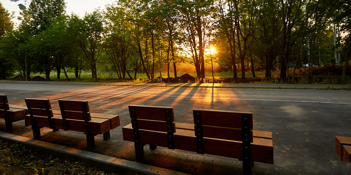 Проект для садов за ДТЮ - на старте, а концепт для Загородного парка - в перспективе