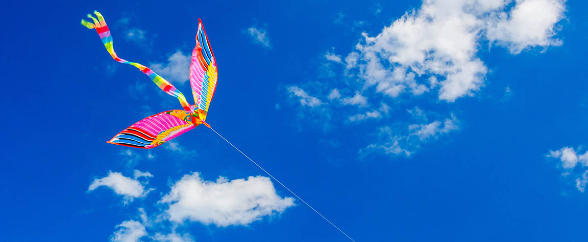 В День молодежи владимирцы запустят воздушных змеев и устроят фотокросс