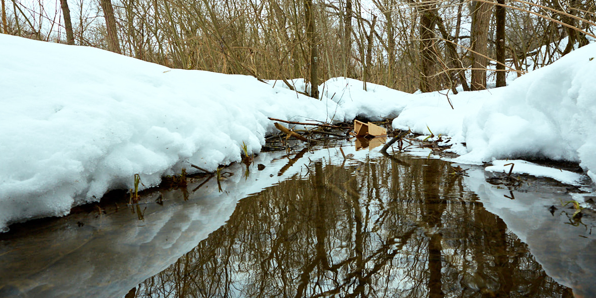 Зима сошла с ума? Сугробы смоет дождем, а дороги покроются льдом