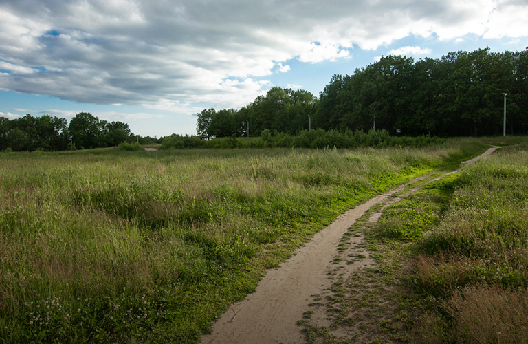 В лесопарке «Дружба» открыта всесезонная экотропа с QR-кодами