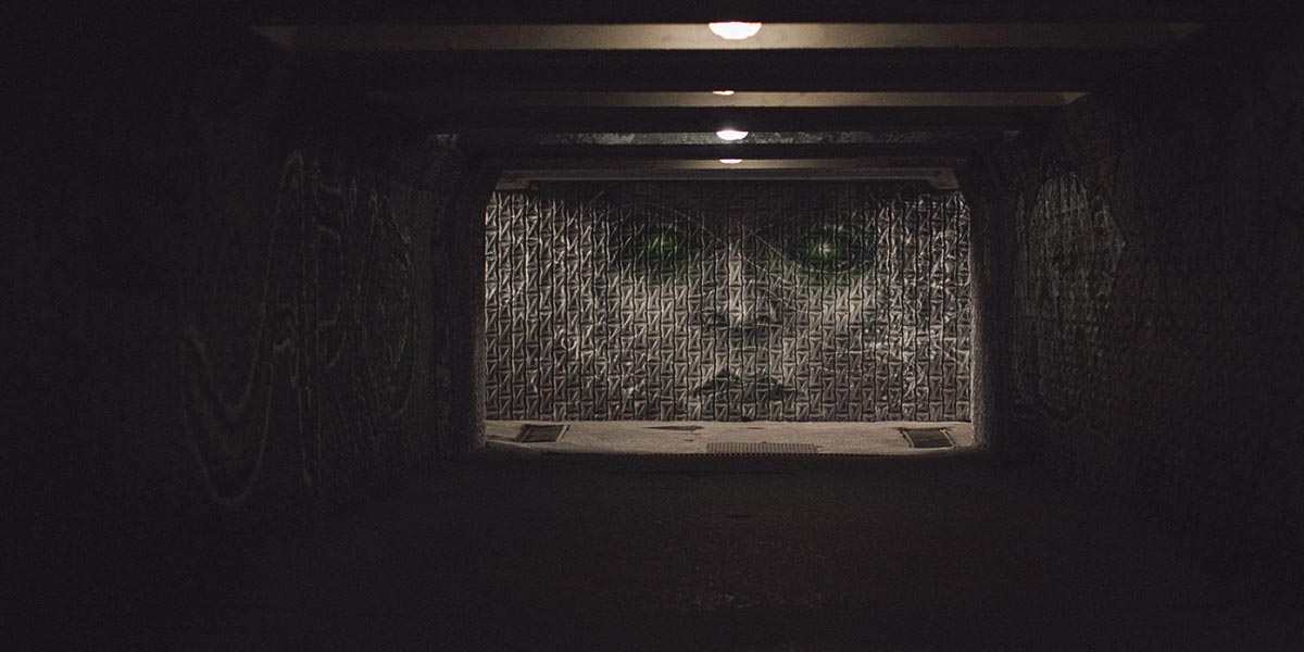 Граффити, стимпанк-скульптура. Чем еще украшают улицы в 33-м регионе