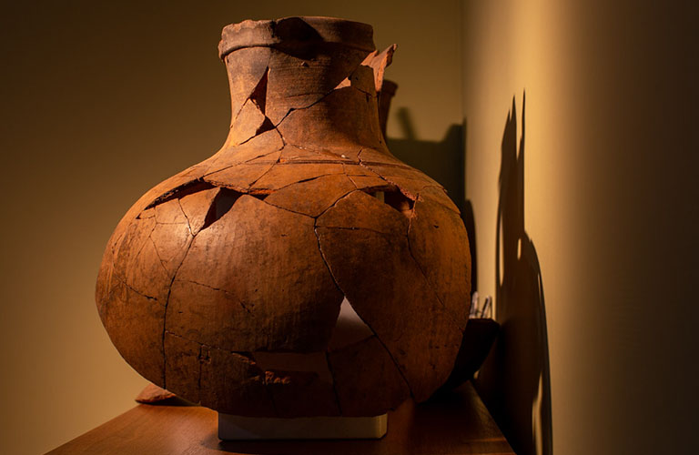 Находки года владимирских археологов: Ожидание и реальность