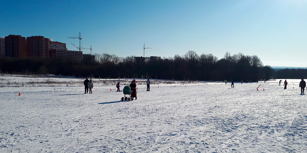 Дырявый «Зеленый щит»: городские парки исключили из «охранного» списка