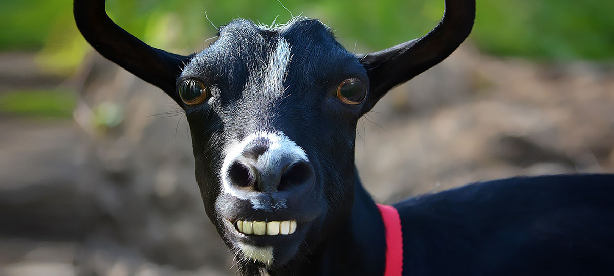 Деревенский гламур. Ведущей суперпопулярного инстаблога оказалась муромлянка