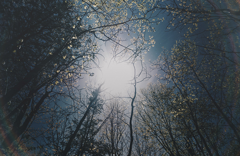 Тепло и солнце: во Владимире начнется метеорологическая весна