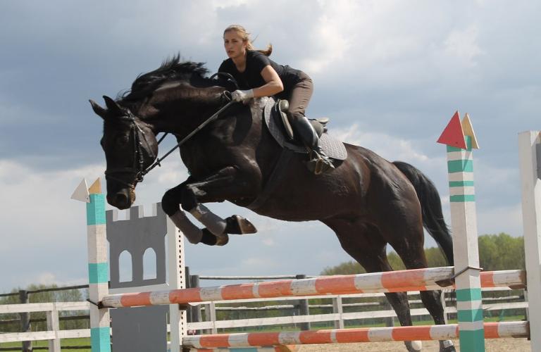 Когда ты «на коне!» Владимирские наездницы о любви и победах