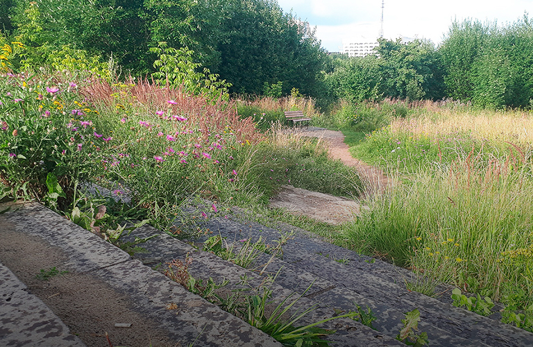 Введите грин-код! Обсуждаем с ландшафтным архитектором «зеленую трансформацию» Владимира