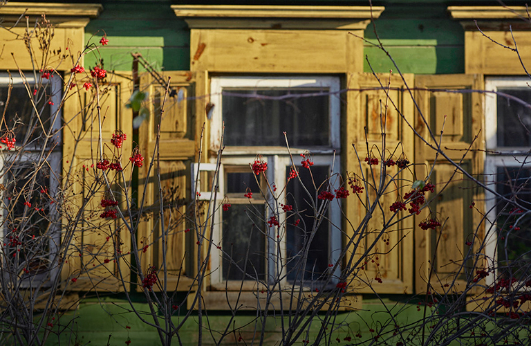 «Я влюбилась в эти окна». Художница из Перми выпустила открытки с владимирскими наличниками