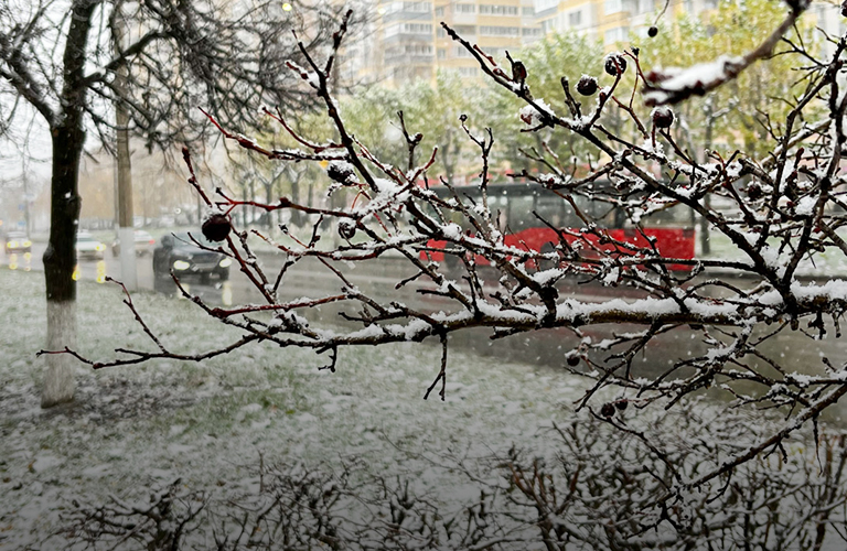 Зима ближе, чем кажется! Погодные сценарии ноября в 33-м регионе