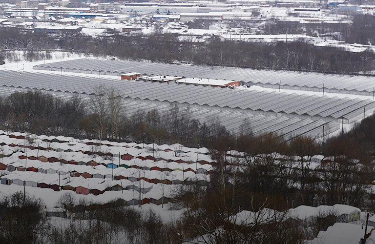 10 удивительных фактов из истории комбината «Тепличный»