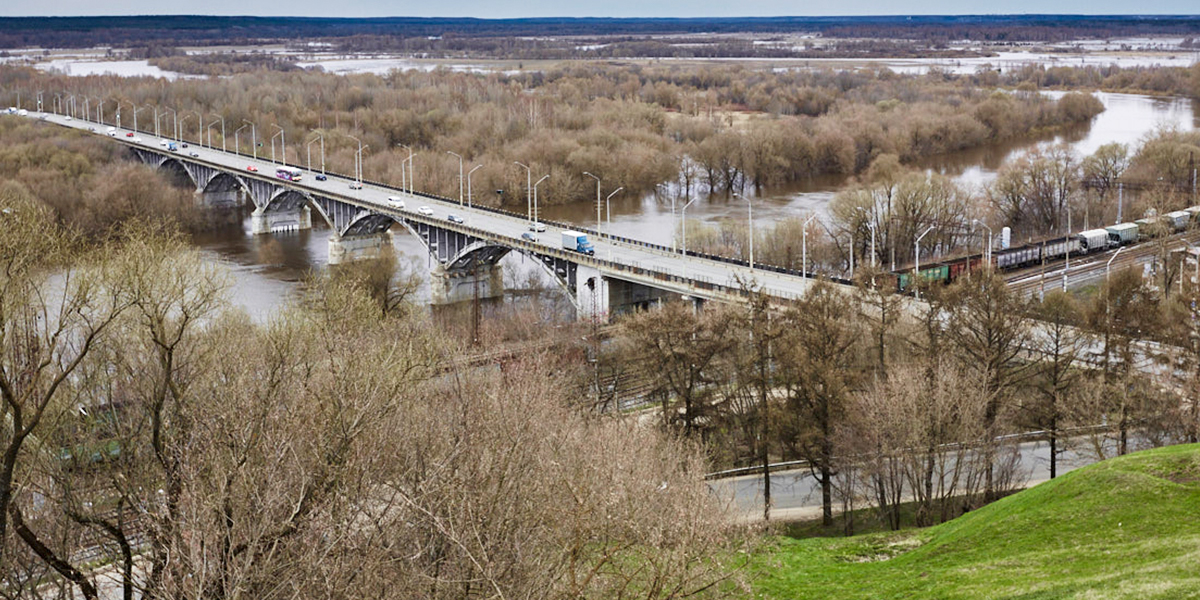 Троллейбусы в Загородный парк, трамваи по центру и другие любопытные инициативы владимирцев