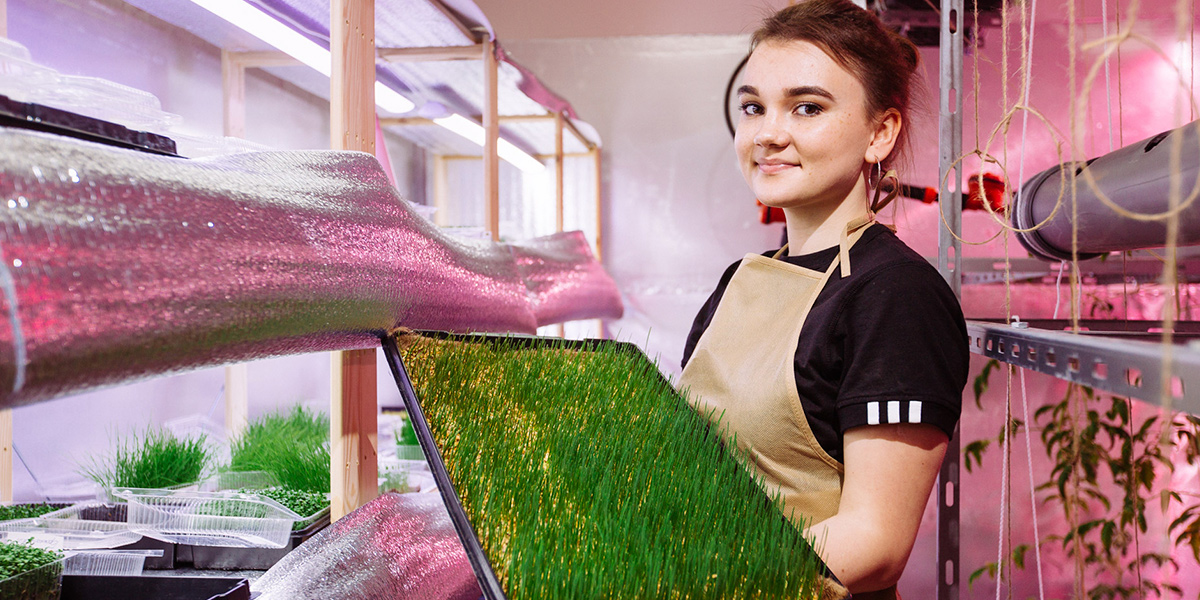 Сок витграсса, микрозелень и новая культура потребления владимирских сити-фермеров