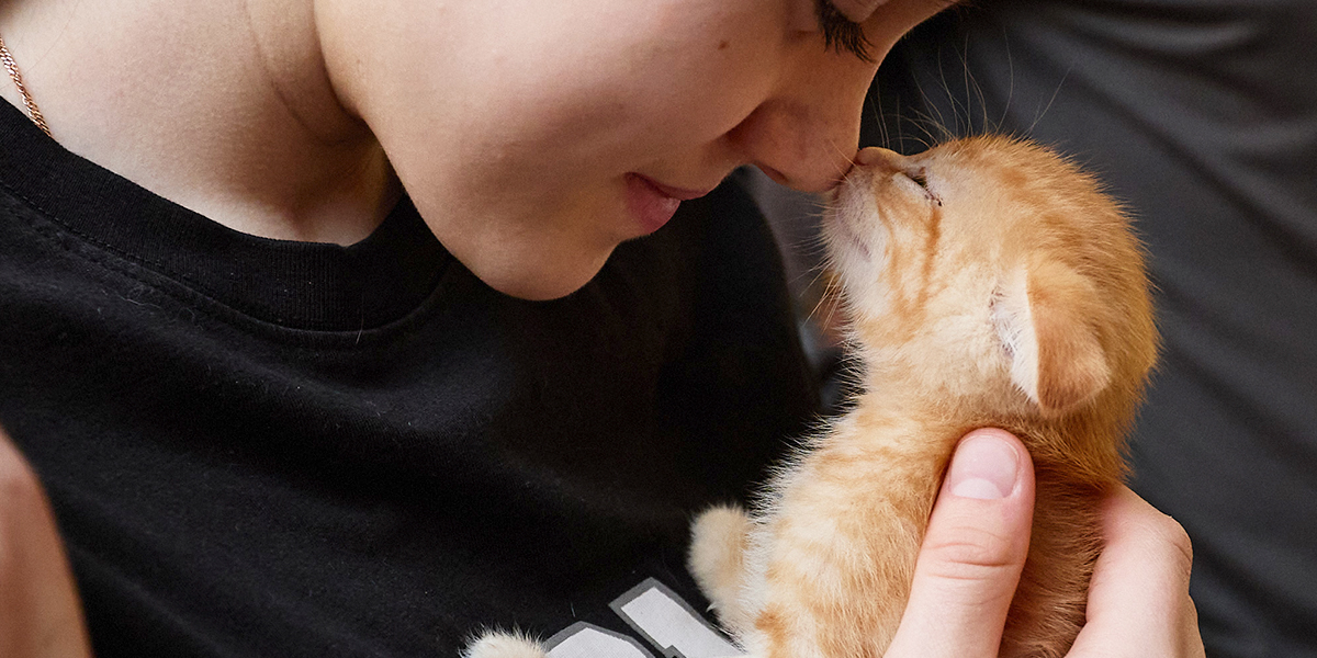 Разрыв сердечка. Во владимирском доброцентре организовали выставку пушистой малышни