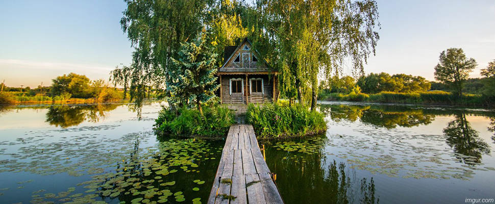 Снять дачу на лето: бассейн, лес, пруд, караси прилагаются