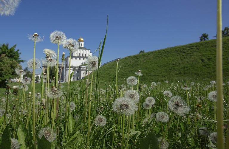 Во Владимире на несколько дней установится тропический зной