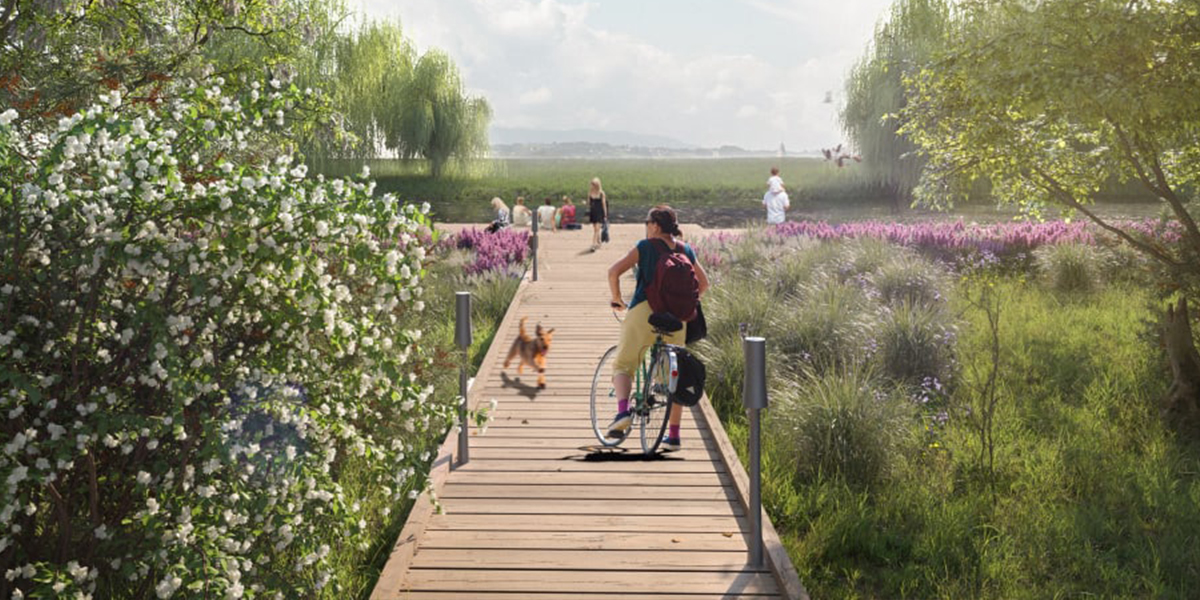 Набережная или сквер? 5 конкурсных проектов благоустройства для городов 33-го региона