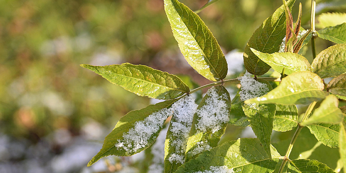 Октябрь держит оборону! Погода во Владимире на ближайшие дни