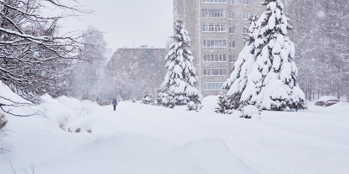 Движение на дорогах остановилось, а детям разрешили не ходить в школу. Последствия циклона «Ольга»