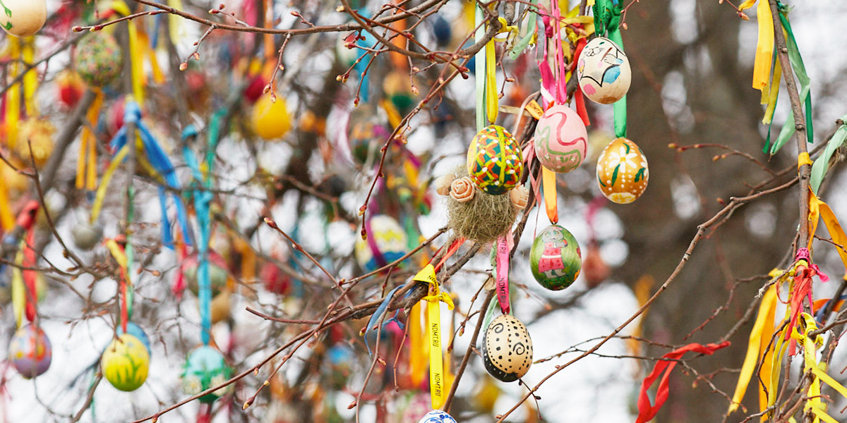 Галустян поможет украсить владимирскую липу, на которой разместят 50 тысяч пасхальных яиц