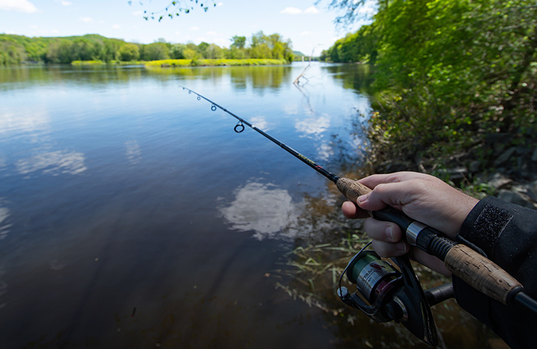 Где клюёт? Топ-5 самых рыбных мест во Владимирской области