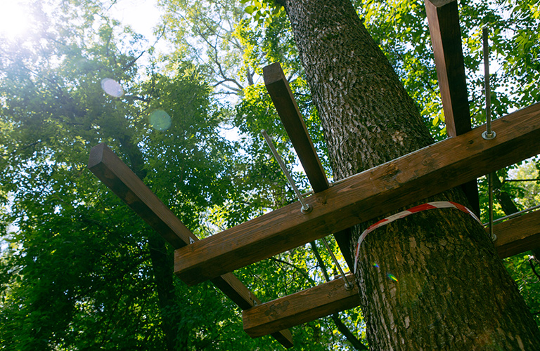 Веревочный городок переезжает из Добросельского парка в Центральный