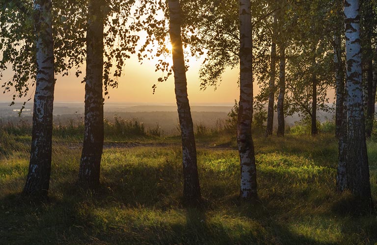 6 самых красивых деревень Владимирской области. Какая дополнит список?