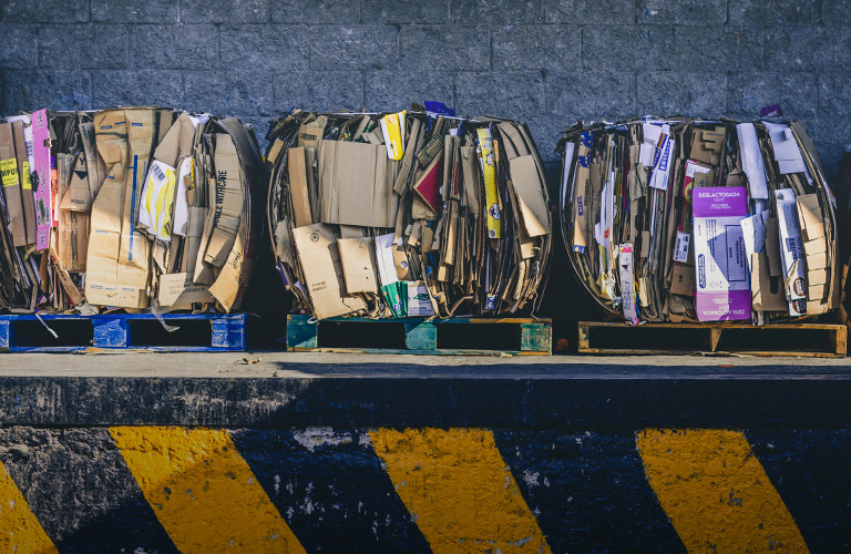 Контейнеры для раздельного сбора мусора исчезли. Что дальше?