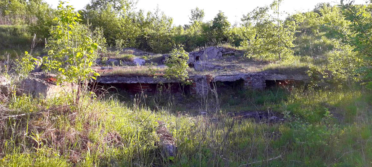 Зачем вам нужно посетить Сунгирь