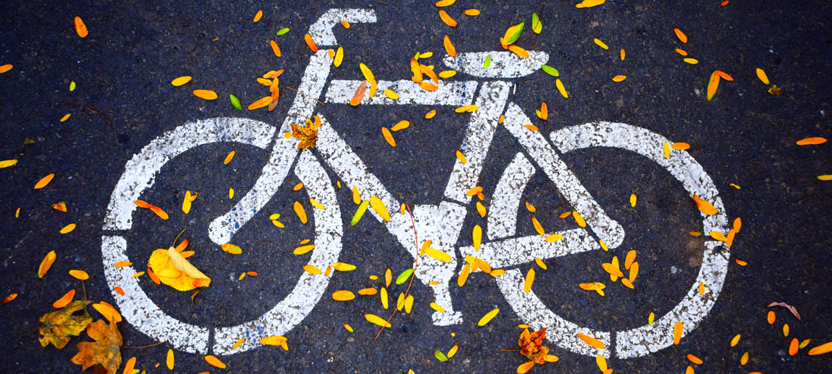 Ночной тест-драйв велодорожек во Владимире