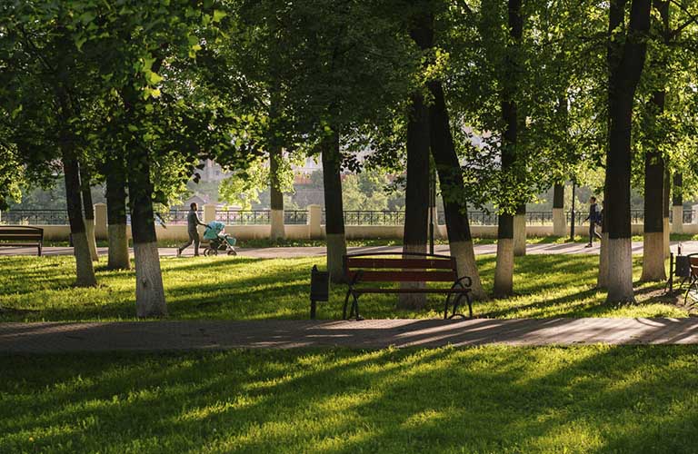 Много плитки не бывает. Как обновляют зоны отдыха в городах 33-го региона