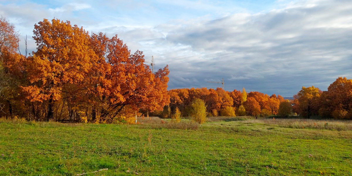 Истории о «Дружбе», или Почему важно спасти парк
