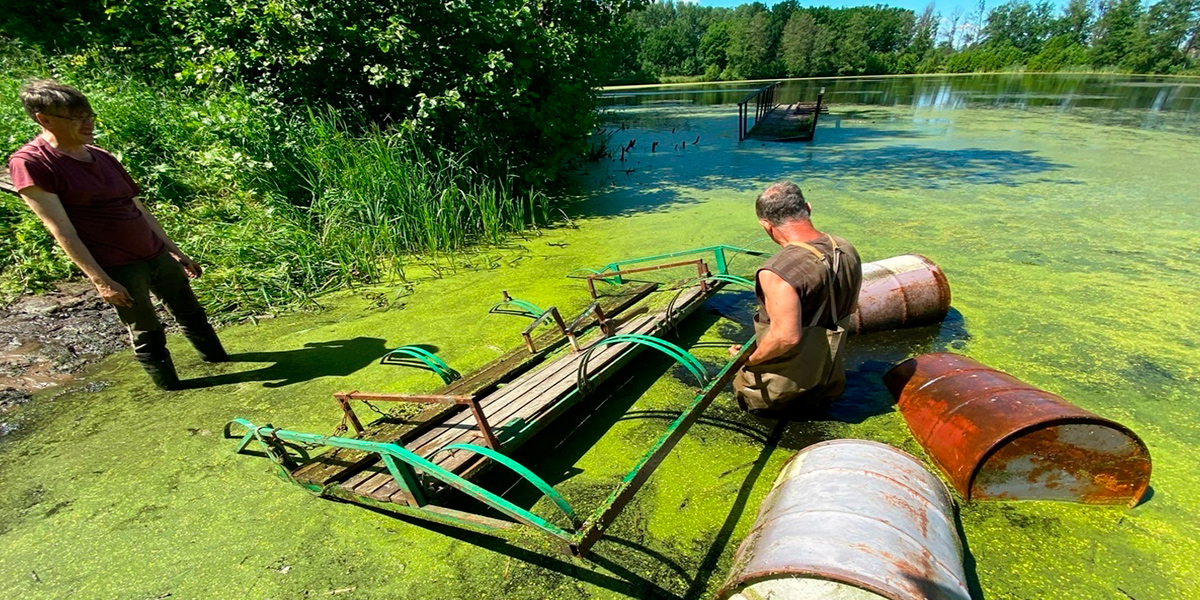 И это вовсе не утопия. Владимир будущего на примере Загородного парка