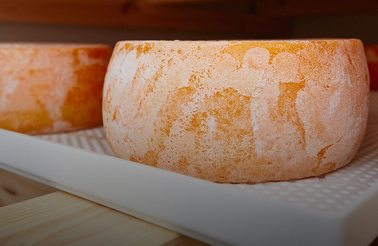 От эффектной бурраты до авторской качотты — феерия вкусов, созданная местным сыроваром