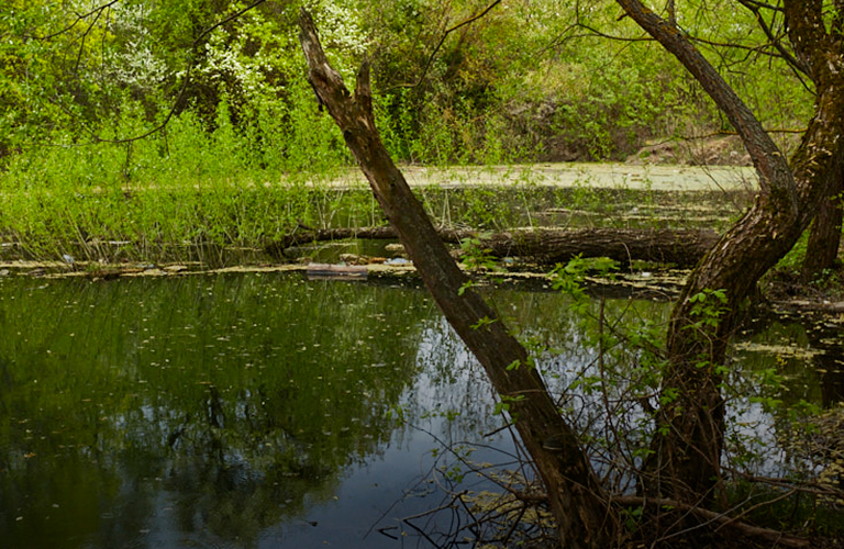 Нижний пруд в старых садах на улице Мира засыпать не будут