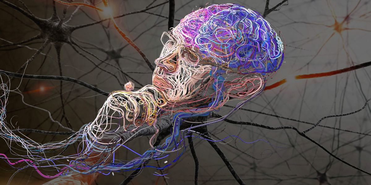 Биохакинг во Владимире: сколько стоят инвестиции в долголетие?