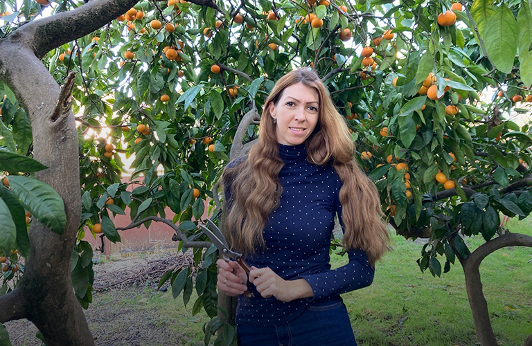 Новый год без снега и волшебной атмосферы, зато в экзотике страны мандаринов